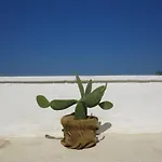 مزرعة للإقامة Masseria Borgo Santuri