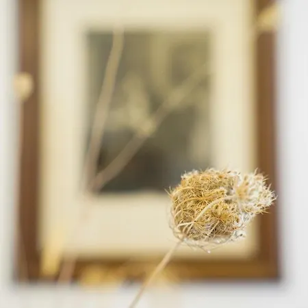 Masseria Borgo Santuri