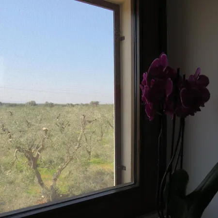 Фермерский дом Masseria Borgo Santuri *