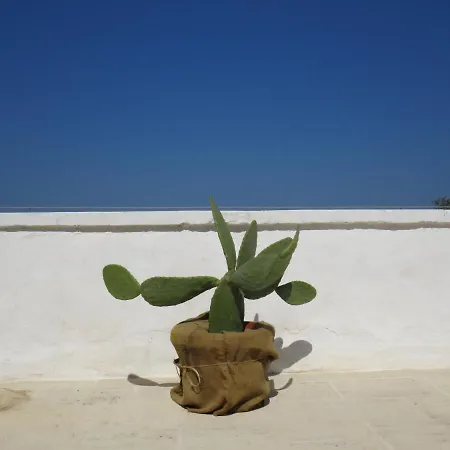 Фермерский дом Masseria Borgo Santuri