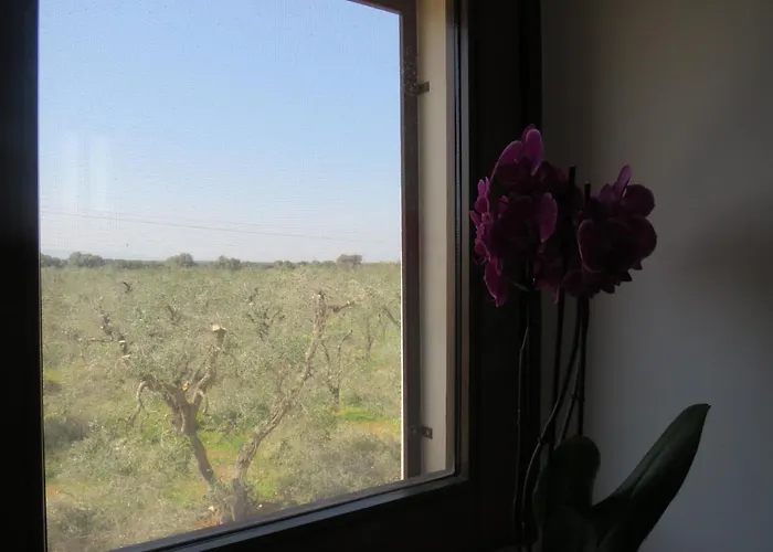 Séjour à la ferme Masseria Borgo Santuri *