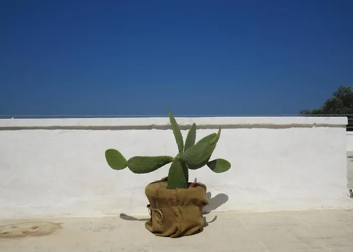 Séjour à la ferme Masseria Borgo Santuri